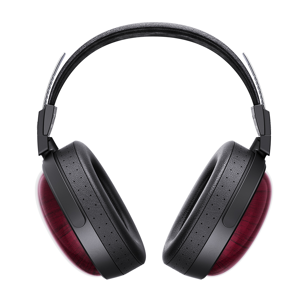 FiiO FT13 & HS-FT13A Bundle