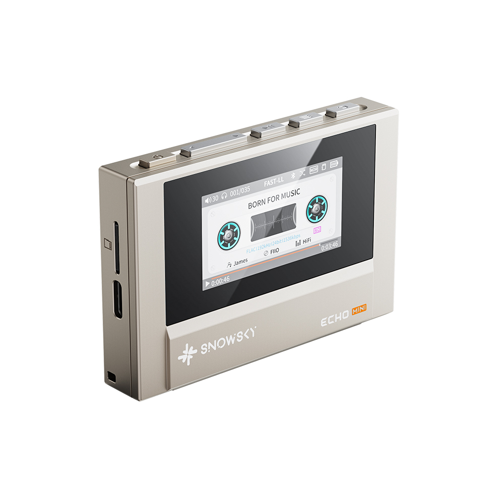 FiiO SnowSky Echo Mini